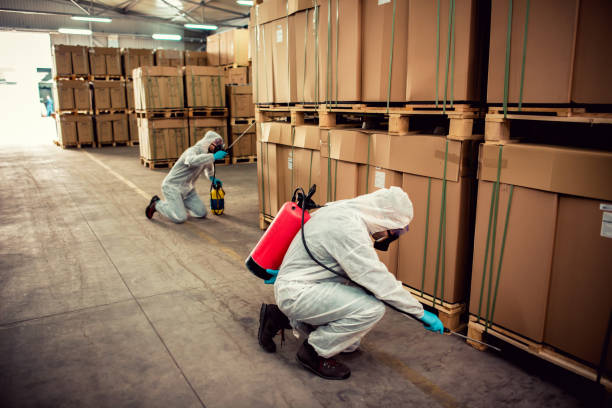 Best Mosquito Control Services  in Haskell, TX
