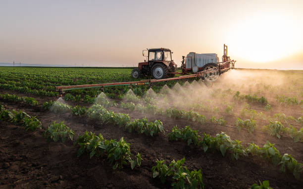 Best Commercial Pest Control Services  in Haskell, TX