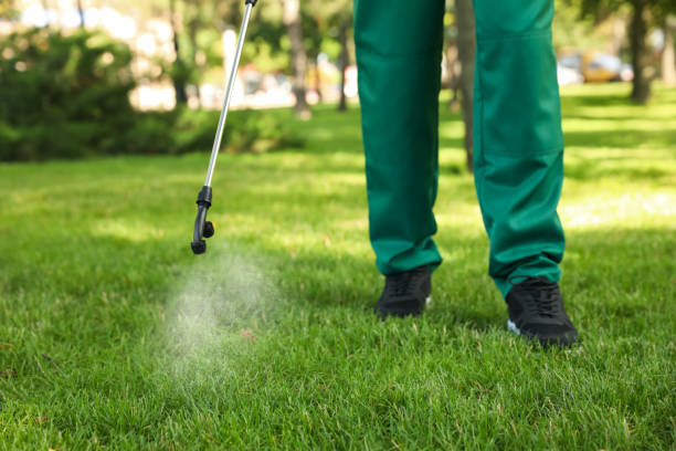 Best Bed Bug Extermination  in Haskell, TX