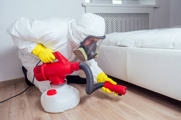 Best Emergency Pest Control  in Haskell, TX