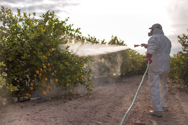 Best Wildlife Control Services  in Haskell, TX