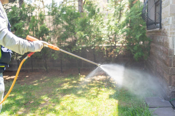 Trusted Haskell, TX Pest Control Experts