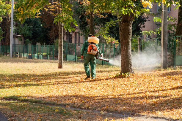 Best Exterminator Services  in Haskell, TX