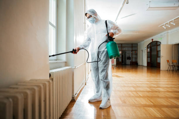 Wasp Removal Services in Haskell, TX