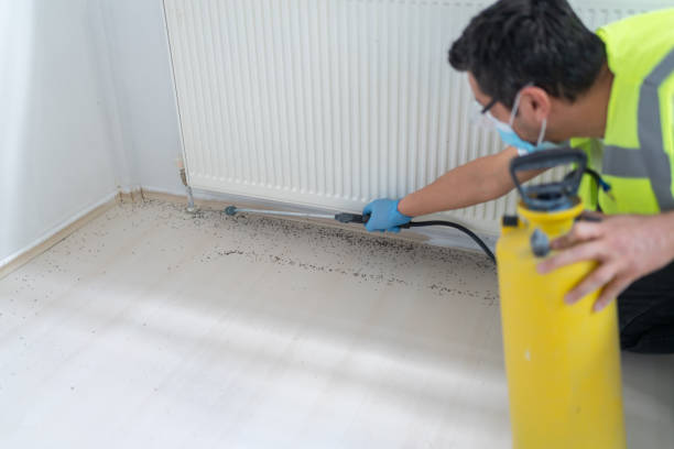 Best Ant Control Services  in Haskell, TX