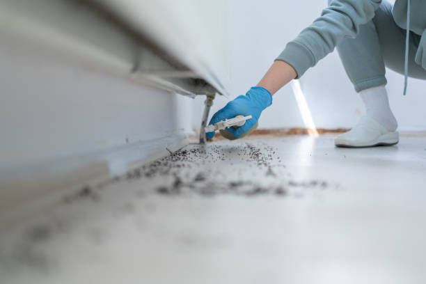 Best Pest Inspection Near Me  in Haskell, TX