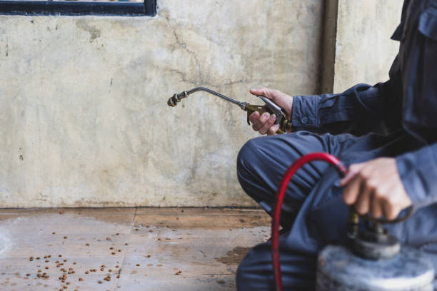 Best Pest Inspection Near Me  in Haskell, TX